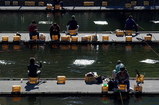 Fishing in Japan's Cities