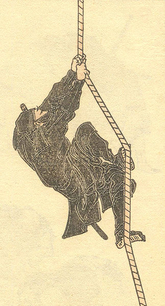 A ninja climbing a rope